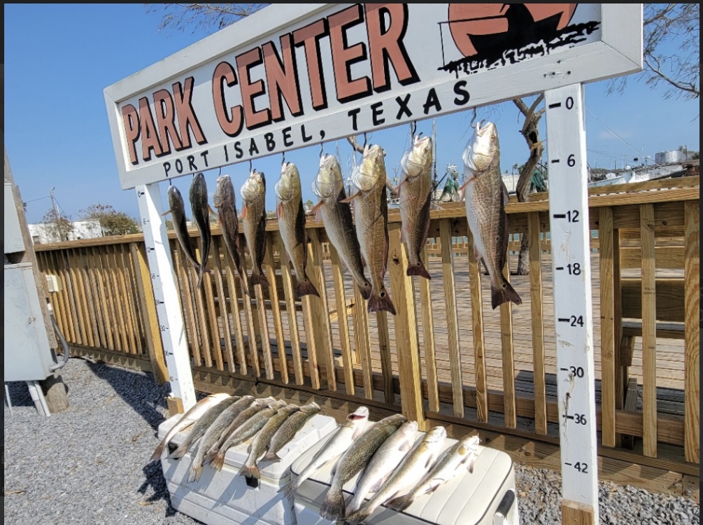Old Salt Charters Bay fishing trip 2 Old Salt Charters Bay fishing trip - Image 2